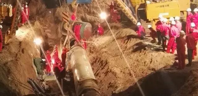 1500452662984550.jpg 1.jpg